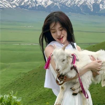 新扎师姐3:百分百型警
